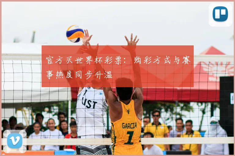 官方买世界杯彩票：购彩方式与赛事热度同步升温