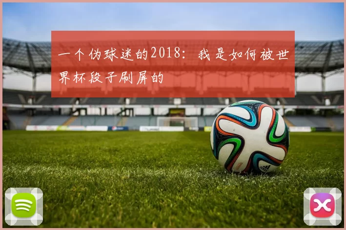 一个伪球迷的2018:我是如何被世界杯段子刷屏的