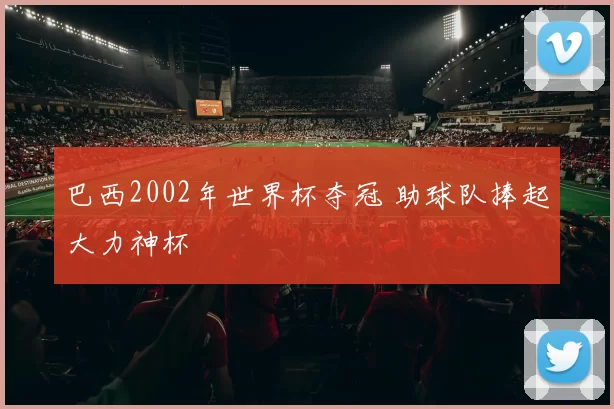 巴西2002年世界杯夺冠 助球队捧起大力神杯