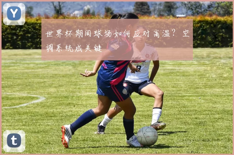 世界杯期间球场如何应对高温？空调系统成关键