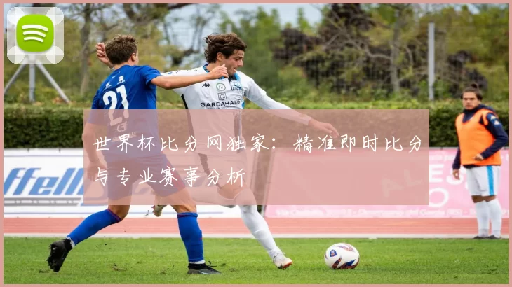 世界杯比分网独家：精准即时比分与专业赛事分析