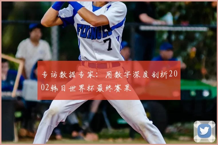 专访数据专家：用数字深度剖析2002韩日世界杯最终赛果