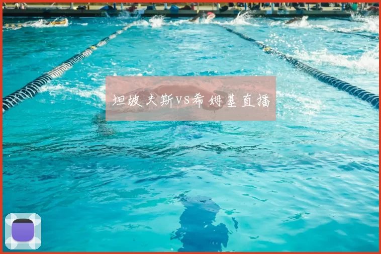 坦坡夫斯vs希姆基直播
