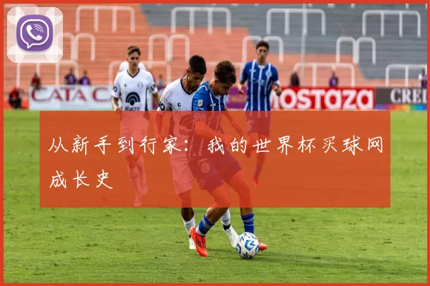 从新手到行家:我的世界杯买球网成长史