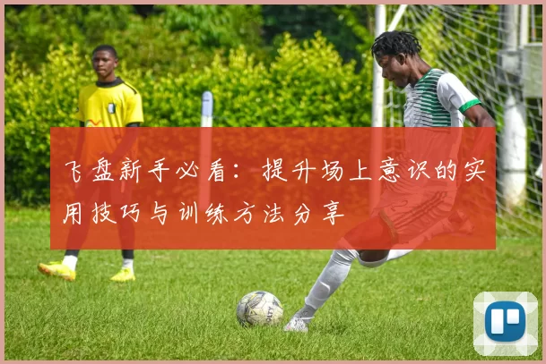 飞盘新手必看：提升场上意识的实用技巧与训练方法分享