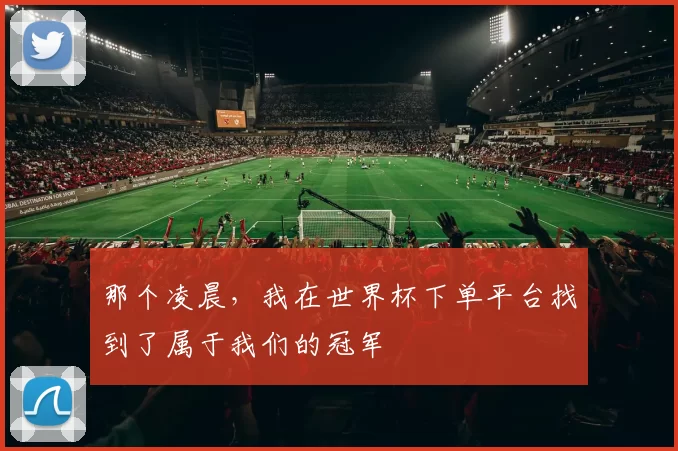 那个凌晨,我在世界杯下单平台找到了属于我们的冠军