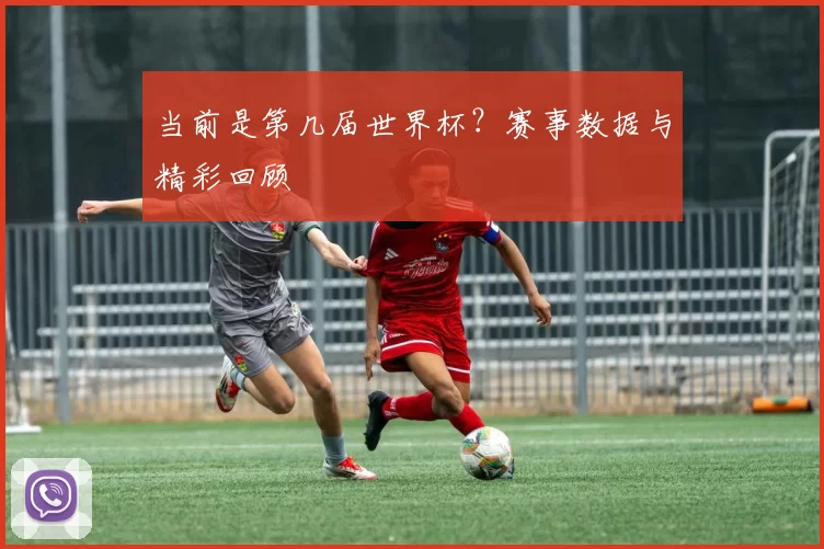 当前是第几届世界杯?赛事数据与精彩回顾