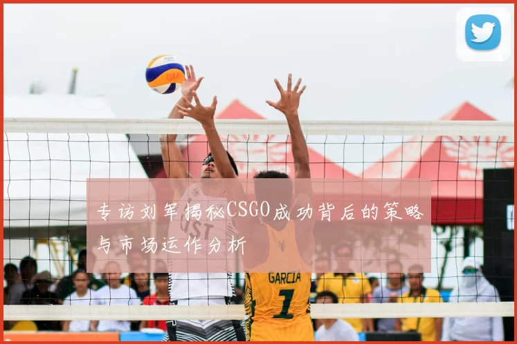 专访刘军揭秘CSGO成功背后的策略与市场运作分析