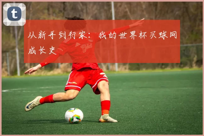 从新手到行家：我的世界杯买球网成长史