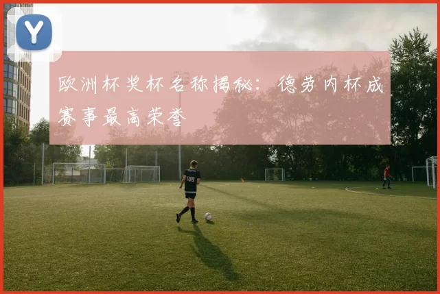 欧洲杯奖杯名称揭秘:德劳内杯成赛事最高荣誉