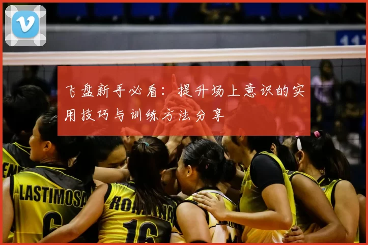 飞盘新手必看：提升场上意识的实用技巧与训练方法分享